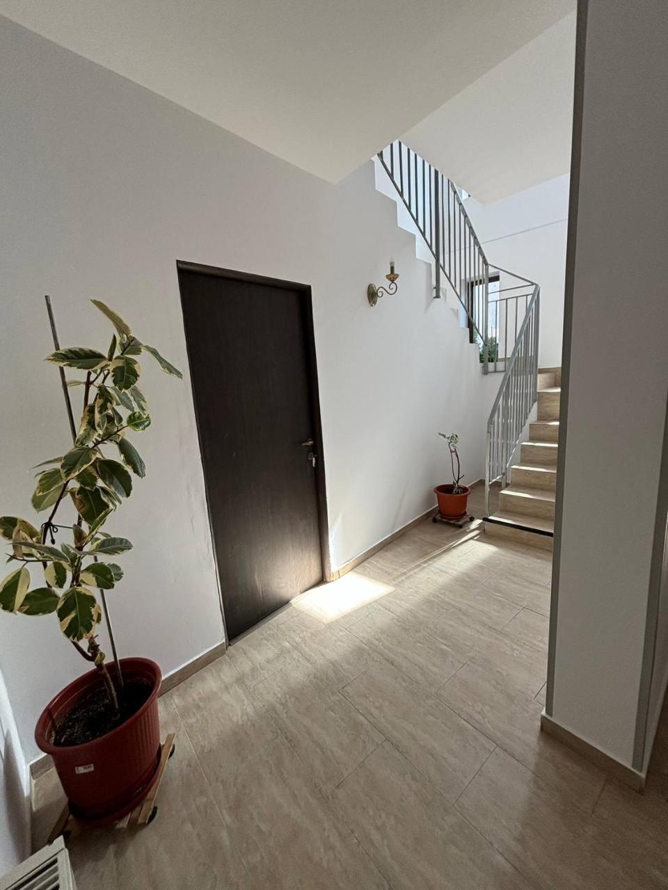 Alexander Residence Braila Exterior photo