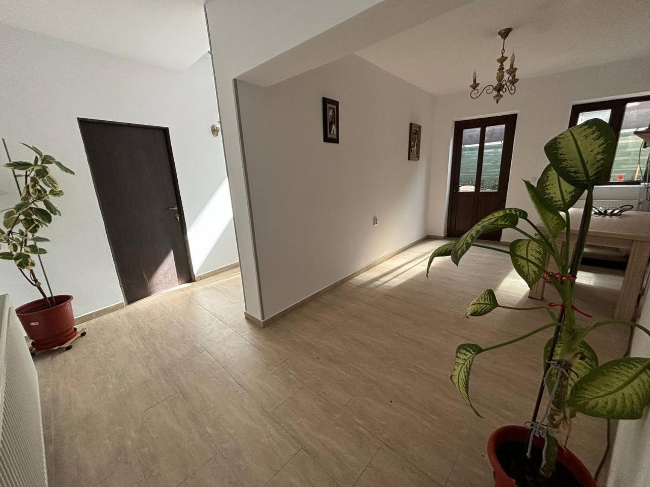 Alexander Residence Braila Exterior photo